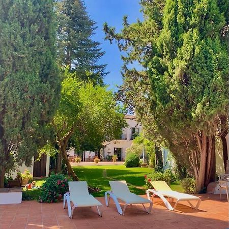 Un Autentico Oasis Rodeado De Historia Ronda Ngoại thất bức ảnh