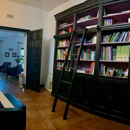 Un Autentico Oasis Rodeado De Historia Ronda Ngoại thất bức ảnh