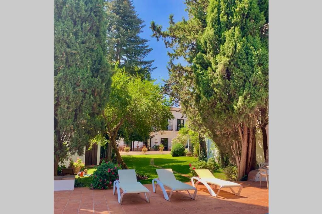 Un Autentico Oasis Rodeado De Historia Ronda Ngoại thất bức ảnh