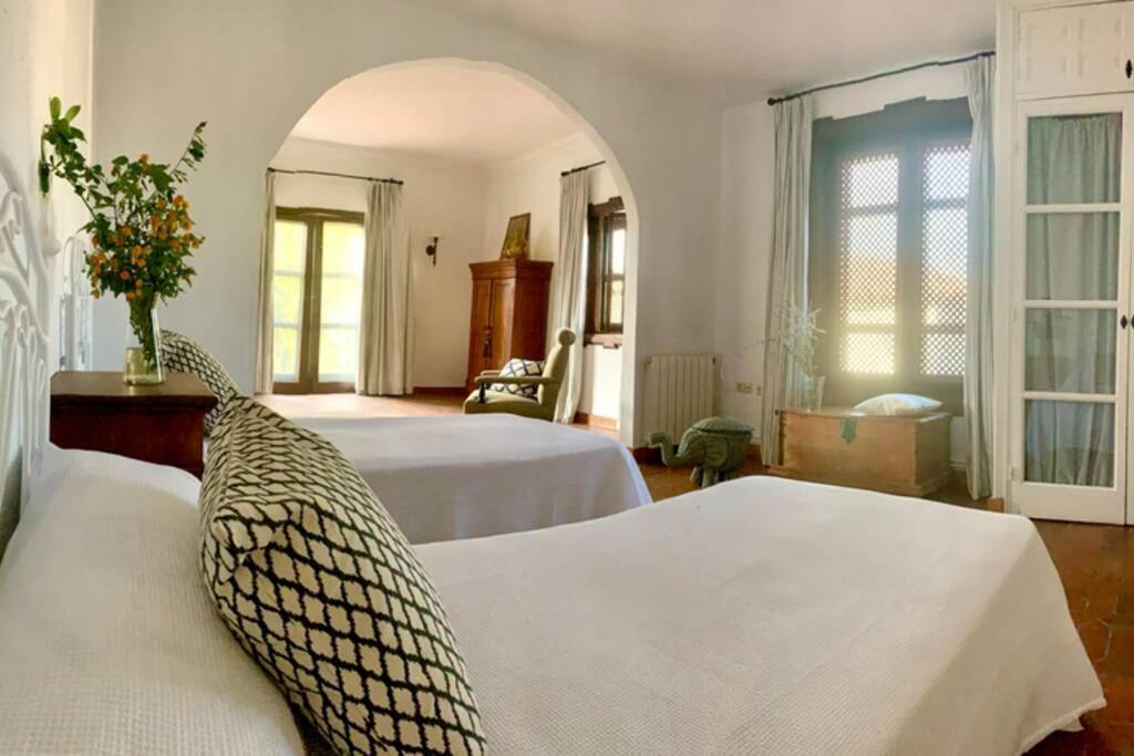 Un Autentico Oasis Rodeado De Historia Ronda Ngoại thất bức ảnh