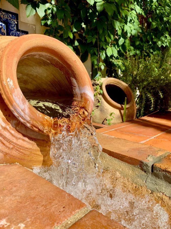 Un Autentico Oasis Rodeado De Historia Ronda Ngoại thất bức ảnh